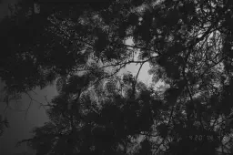 Blog post