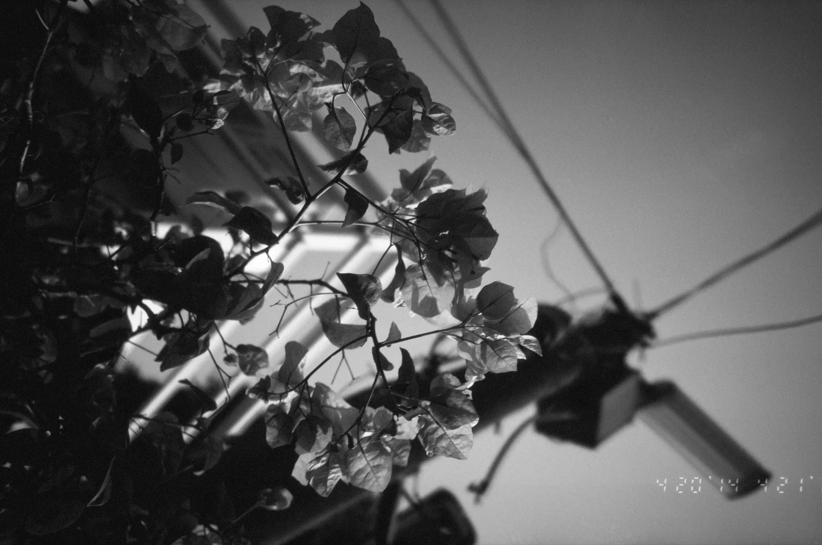 Blog post